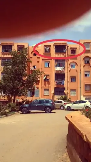 شقة جاهزة للبيع تلمسان-اوجليدة